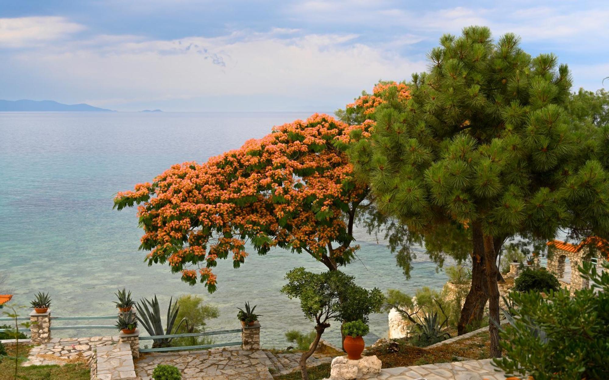 Kiparissi Villa Halkidiki Иериссос Экстерьер фото